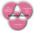 /album/fotogaleria/ni%c3%b1os-con-altas-capacidades-o-superdotados-en-euskadi-jpg/